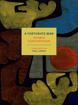 cover image of A Fortunate Man